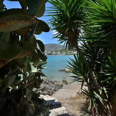Portomare *